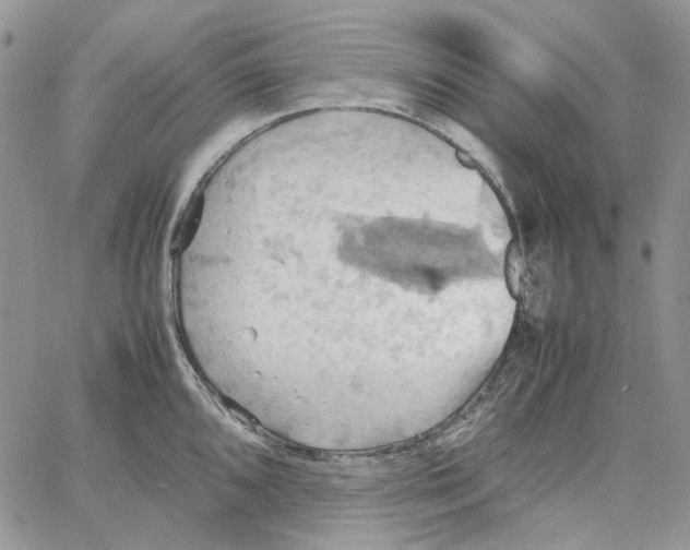 X0000064041096200602242314