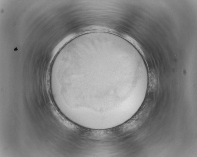 X0000064041098200602242314