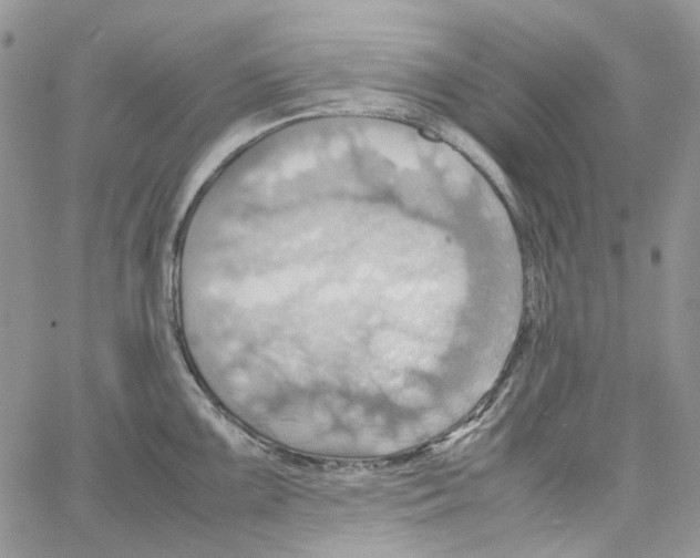 X0000064041099200602242314