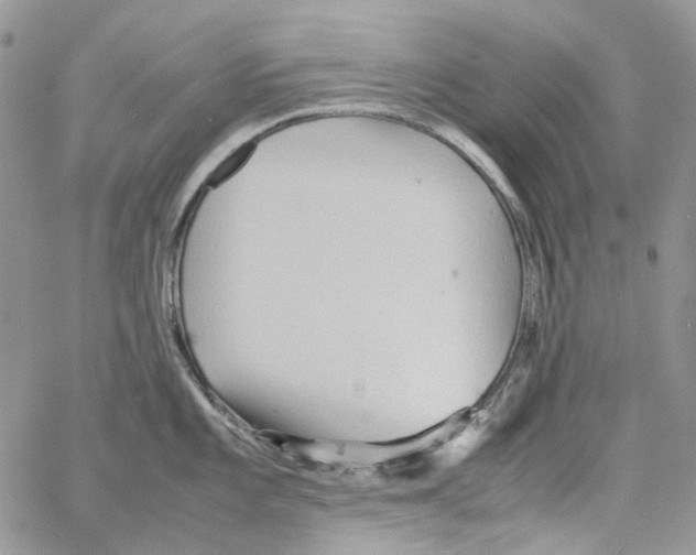 X0000064041101200602242314