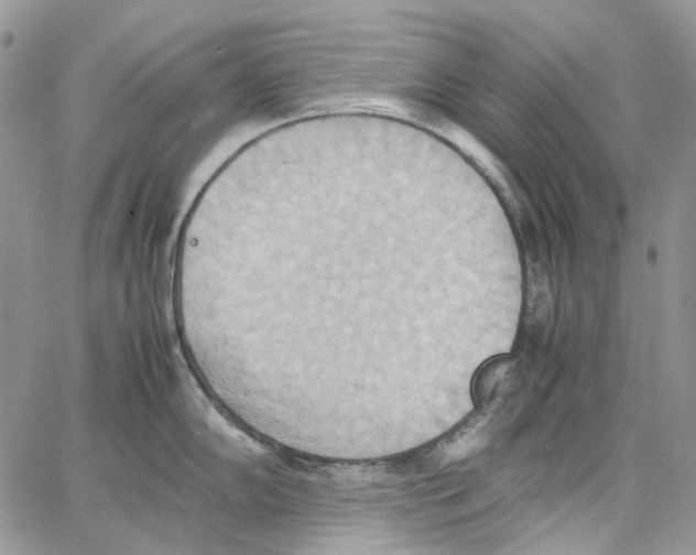 X0000064041102200602242314