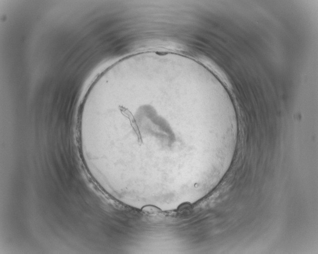 X0000064041104200602242314