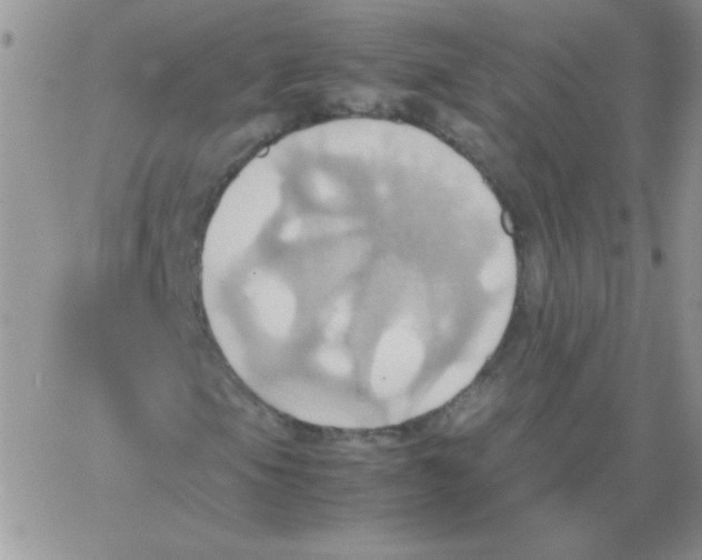 X0000064041105200602242313