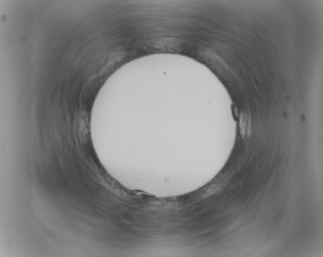 X0000064041107200602242313