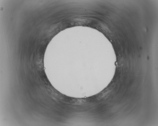 X0000064041109200602242313