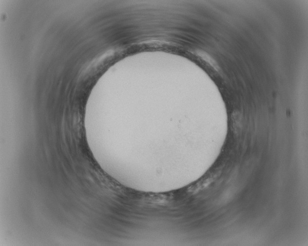 X0000064041111200602242313