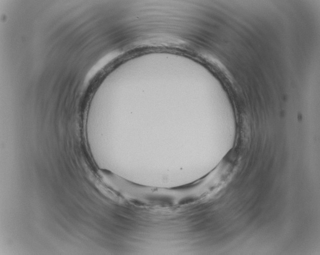 X0000064041114200602242313