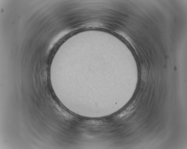 X0000064041115200602242313