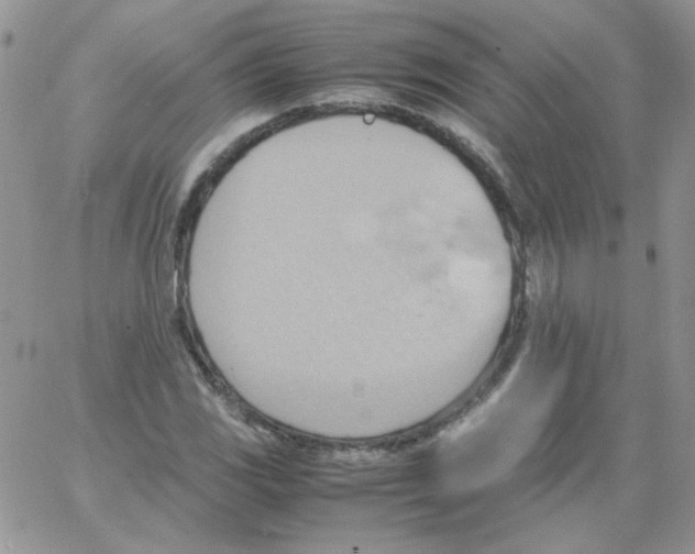 X0000064041117200602242313