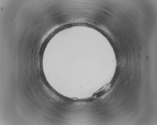 X0000064041118200602242314