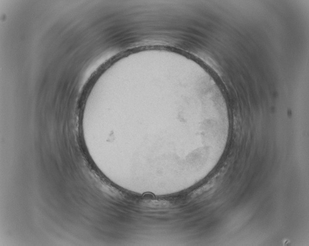 X0000064041119200602242314