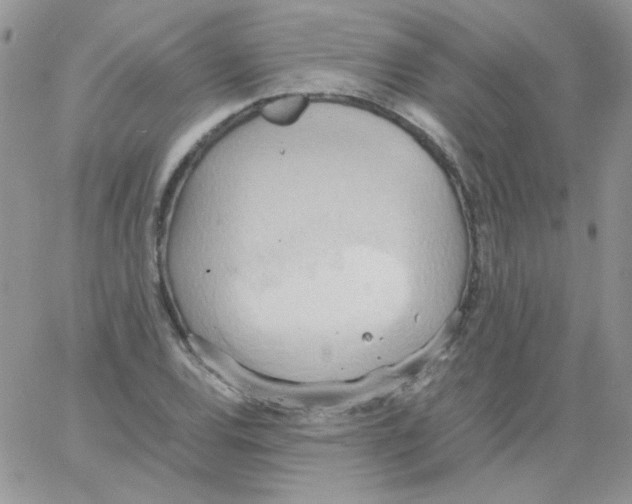 X0000064041120200602242314