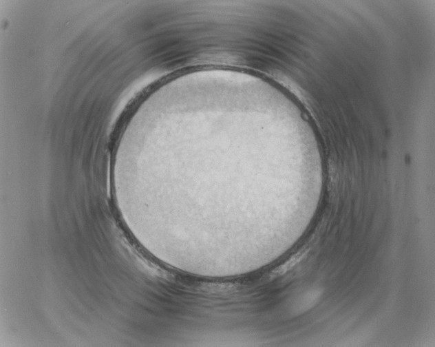 X0000064041123200602242314