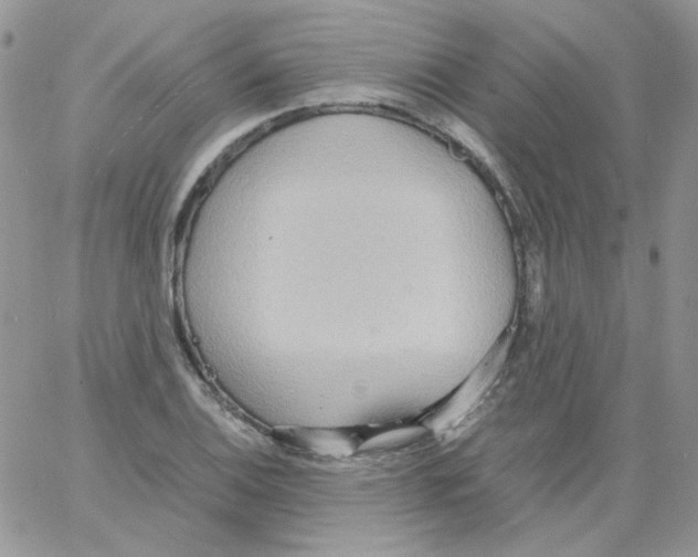 X0000064041124200602242314