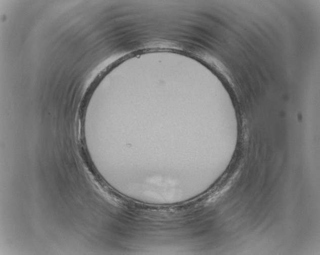 X0000064041125200602242314