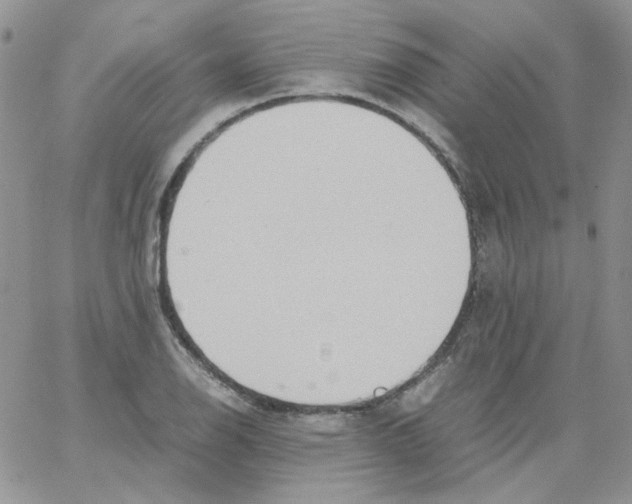 X0000064041126200602242314