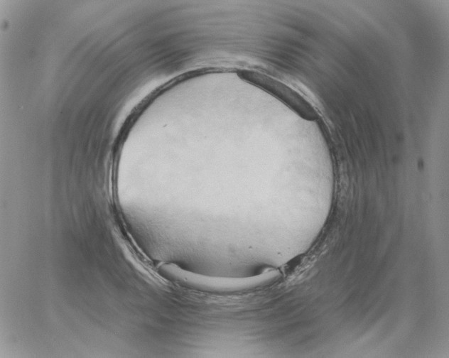 X0000064041128200602242314