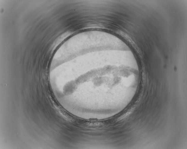 X0000064041129200602242314