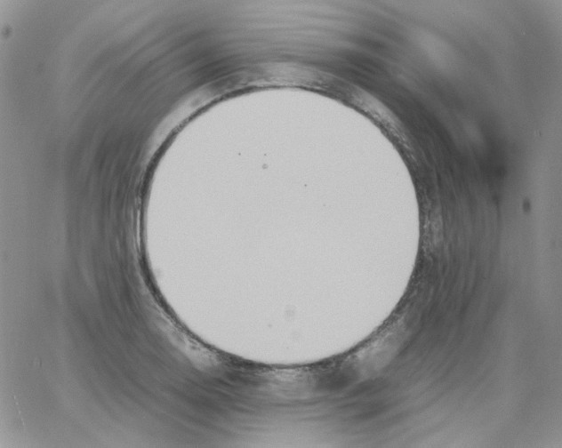 X0000064041130200602242314