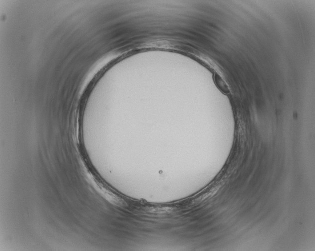 X0000064041131200602242314