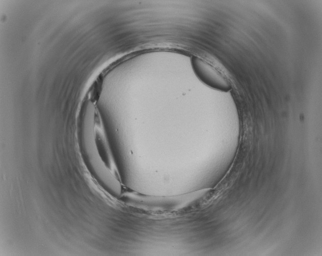 X0000064041132200602242314