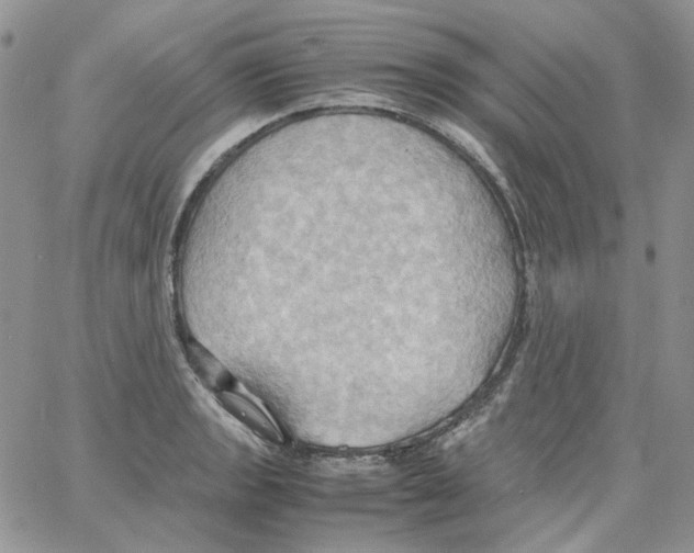 X0000064041133200602242314