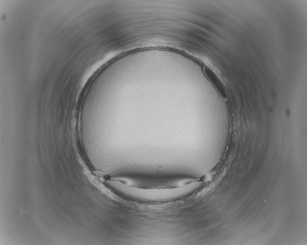 X0000064041134200602242314