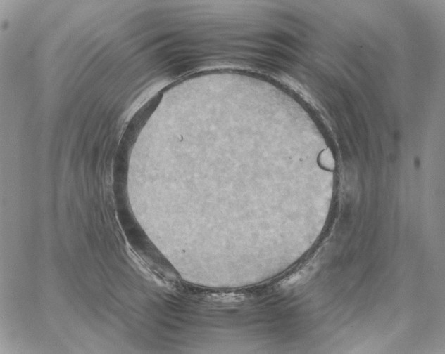 X0000064041137200602242314