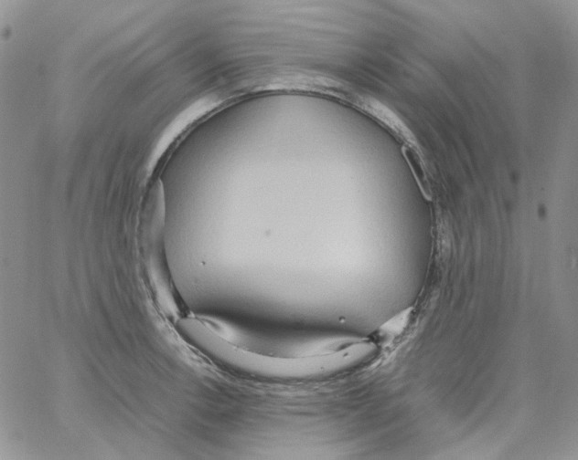 X0000064041138200602242314