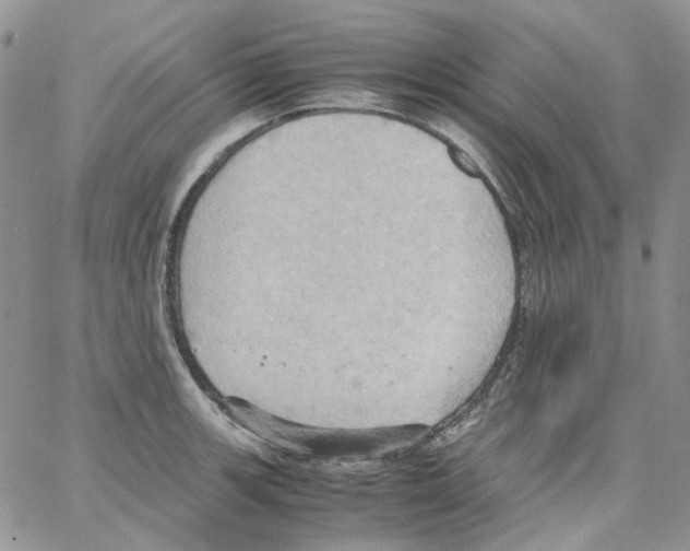 X0000064041139200602242314