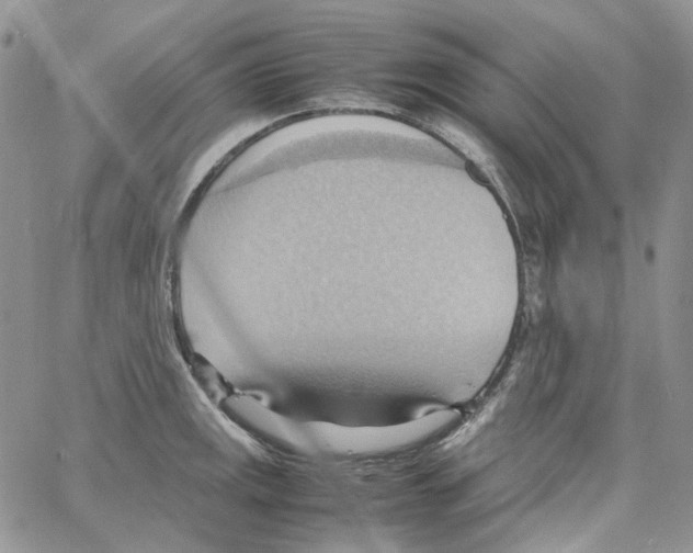 X0000064041141200602242314