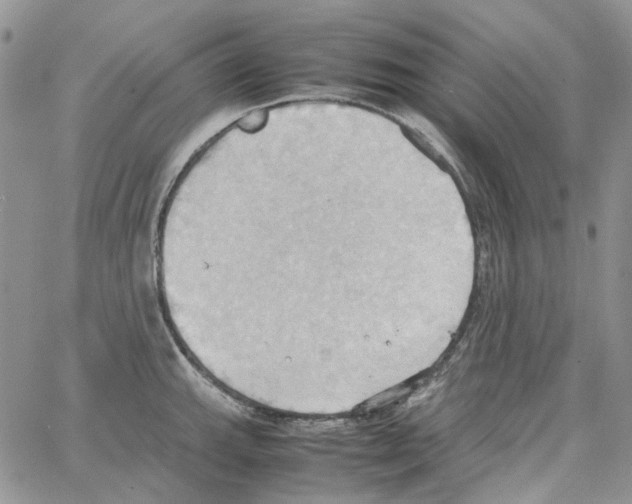 X0000064041143200602242314