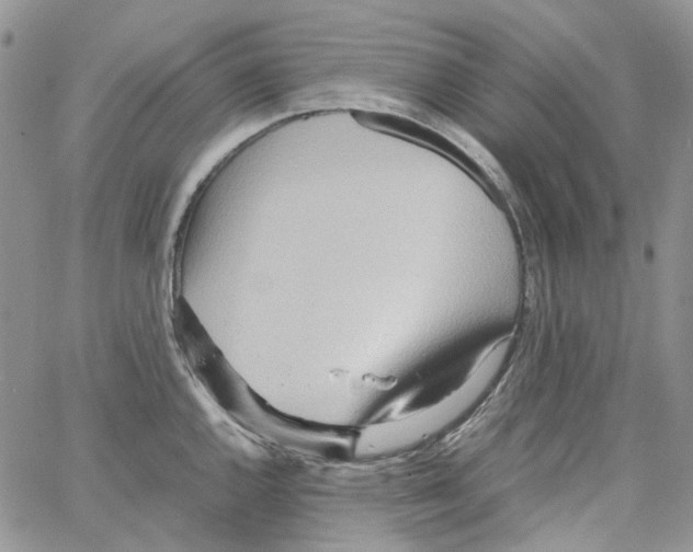 X0000064041144200602242314