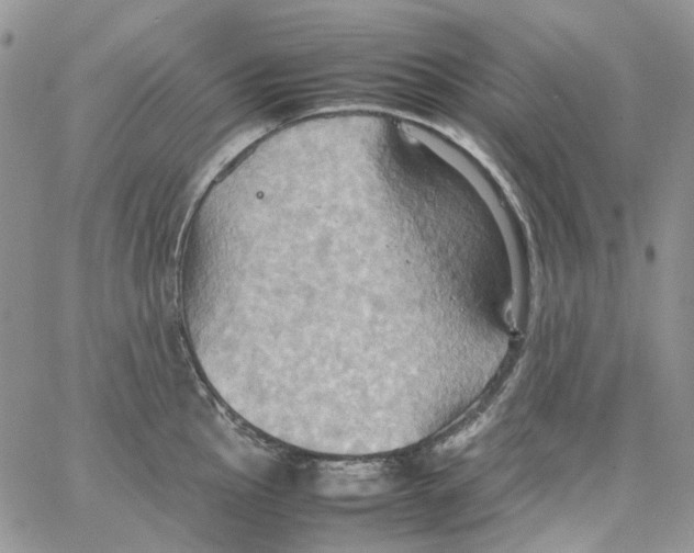 X0000064041145200602242314