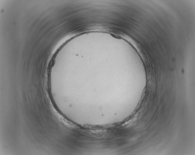 X0000064041147200602242314