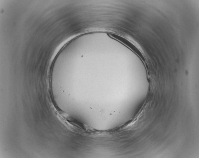 X0000064041148200602242314