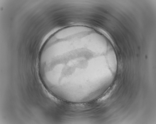 X0000064041149200602242314