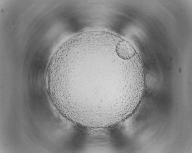 X0000064041150200602242314