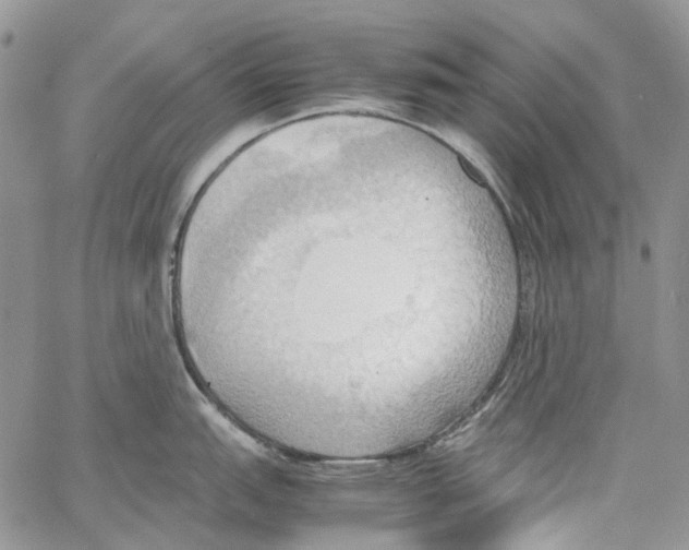 X0000064041151200602242314