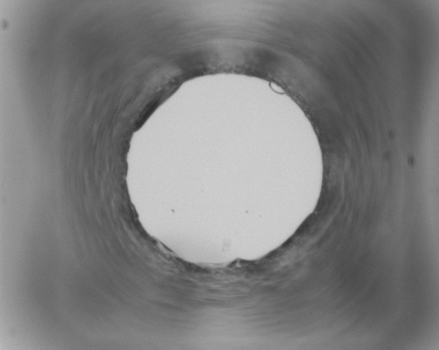 X0000064041153200602242313