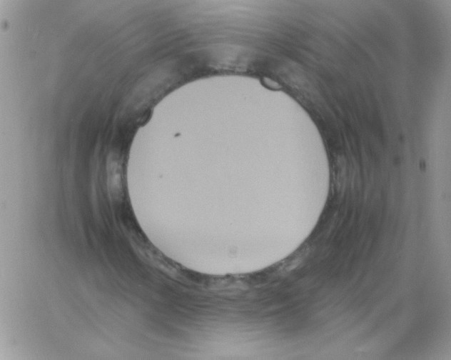 X0000064041154200602242313