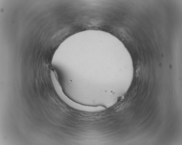 X0000064041156200602242313