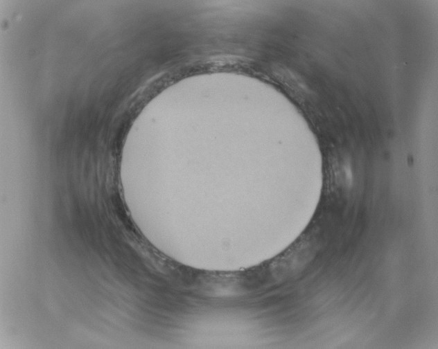 X0000064041158200602242313