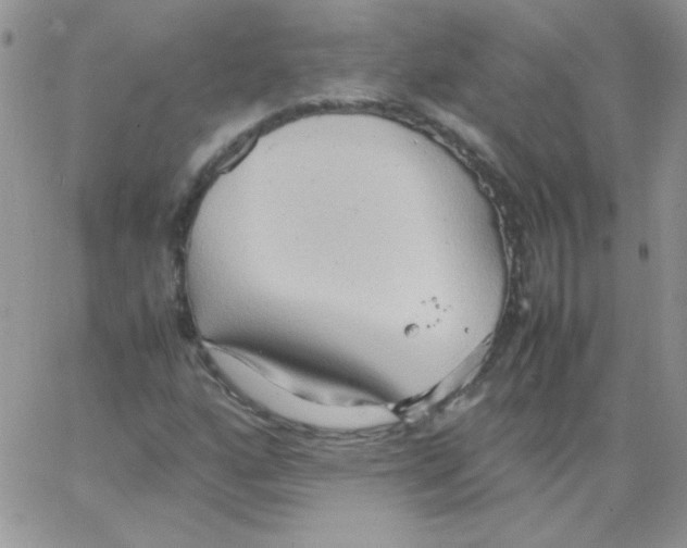 X0000064041160200602242313