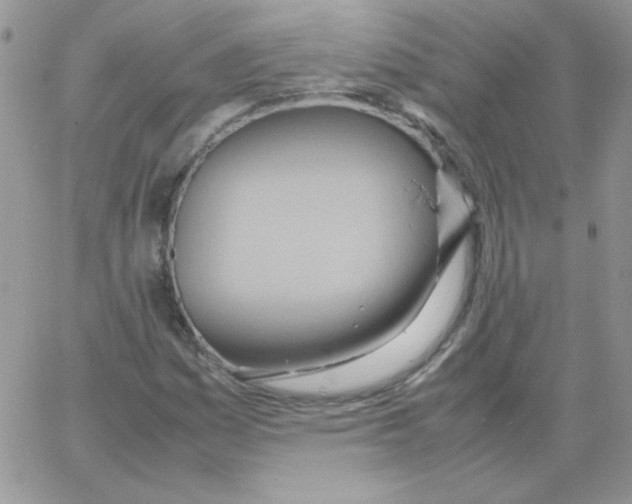 X0000064041161200602242313