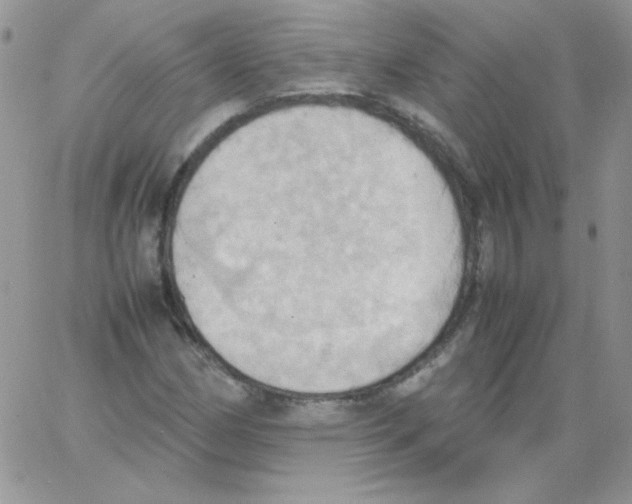 X0000064041162200602242313