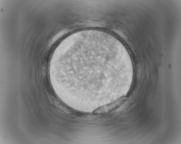 X0000064041163200602242313