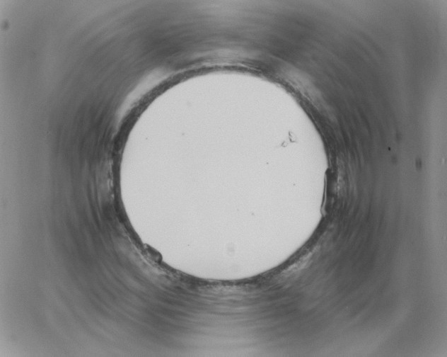 X0000064041164200602242313