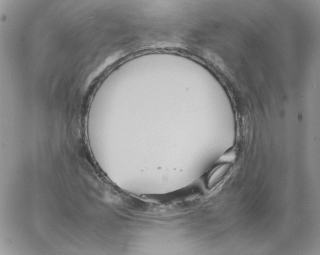 X0000064041165200602242313