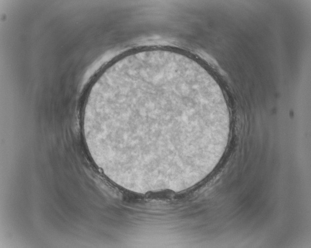 X0000064041167200602242313